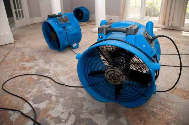 Best Basement water damage restoration  in Upper Lake, CA