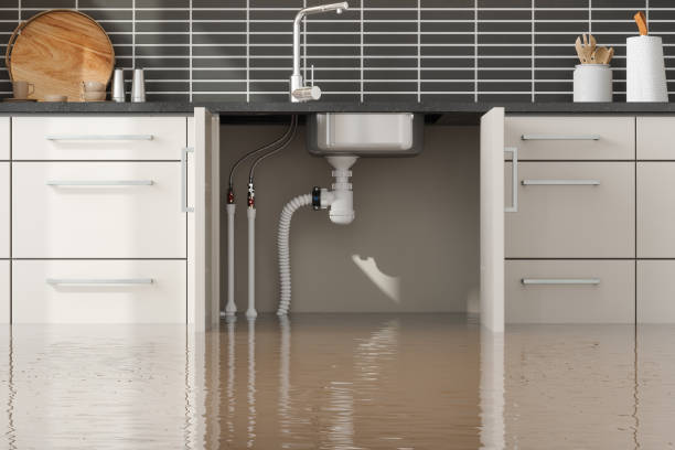 Best Water damage cleanup near me  in Upper Lake, CA
