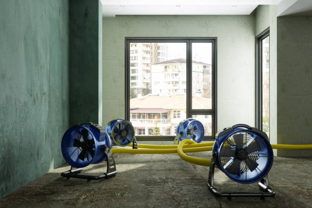 Best 24-hour water damage restoration  in Upper Lake, CA